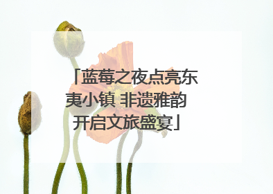 蓝莓之夜点亮东夷小镇 非遗雅韵开启文旅盛宴