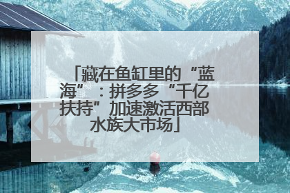 藏在鱼缸里的“蓝海”：拼多多“千亿扶持”加速激活西部水族大市场