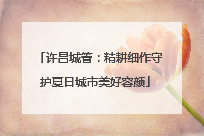 许昌城管：精耕细作守护夏日城市美好容颜