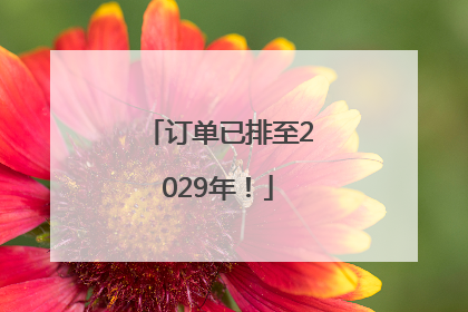 订单已排至2029年！