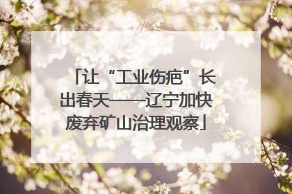 让“工业伤疤”长出春天——辽宁加快废弃矿山治理观察