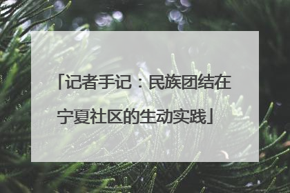 记者手记：民族团结在宁夏社区的生动实践