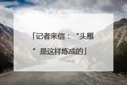 记者来信：“头雁”是这样炼成的