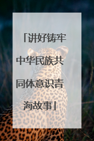 讲好铸牢中华民族共同体意识青海故事