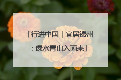 行进中国｜宜居锦州：绿水青山入画来