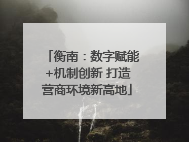 衡南：数字赋能+机制创新 打造营商环境新高地