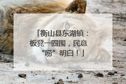 衡山县东湖镇：板凳一圈围，民意“唠”明白！