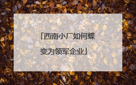 西南小厂如何蝶变为领军企业