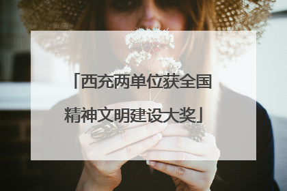 西充两单位获全国精神文明建设大奖