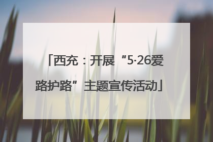 西充：开展“5·26爱路护路”主题宣传活动