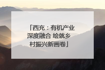 西充：有机产业深度融合 绘就乡村振兴新画卷