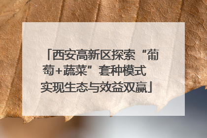 西安高新区探索“葡萄+蔬菜”套种模式 实现生态与效益双赢