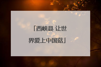 西峡县 让世界爱上中国菇
