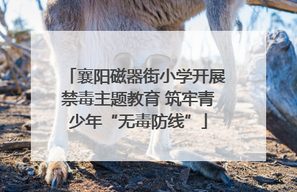 襄阳磁器街小学开展禁毒主题教育 筑牢青少年“无毒防线”