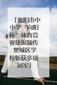 襄阳市中小学“向阳杯”体育竞赛捷报频传 樊城区学校斩获多项冠军