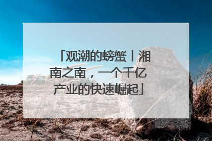 观潮的螃蟹丨湘南之南，一个千亿产业的快速崛起