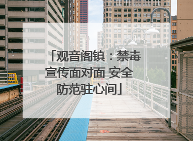 观音阁镇：禁毒宣传面对面 安全防范驻心间