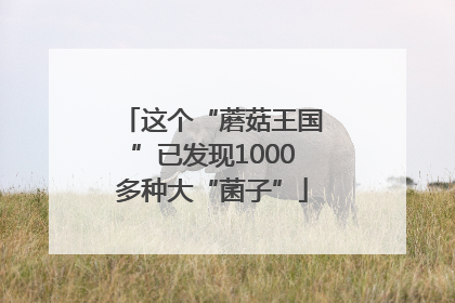 这个“蘑菇王国”已发现1000多种大“菌子”