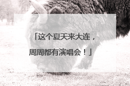 这个夏天来大连，周周都有演唱会！