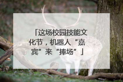 这场校园技能文化节，机器人“嘉宾”来“捧场”
