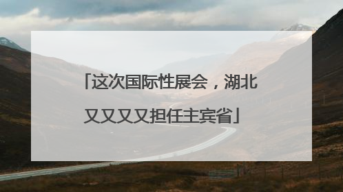 这次国际性展会，湖北又又又又担任主宾省