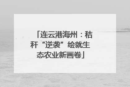 连云港海州：秸秆“逆袭”绘就生态农业新画卷