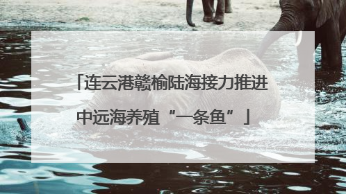 连云港赣榆陆海接力推进中远海养殖“一条鱼”