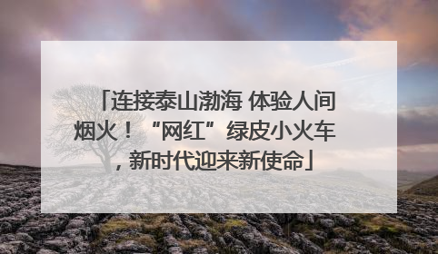 连接泰山渤海 体验人间烟火！“网红”绿皮小火车，新时代迎来新使命