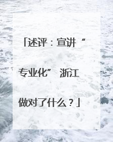 述评：宣讲“专业化” 浙江做对了什么？
