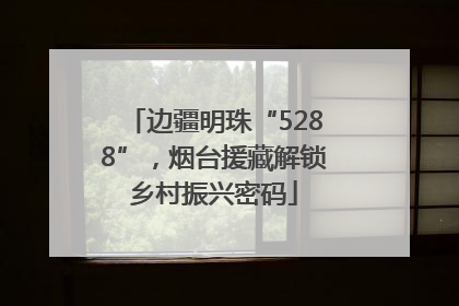 边疆明珠“5288”，烟台援藏解锁乡村振兴密码