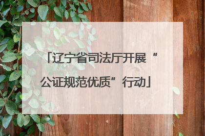 辽宁省司法厅开展“公证规范优质”行动