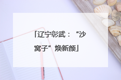 辽宁彰武：“沙窝子”焕新颜
