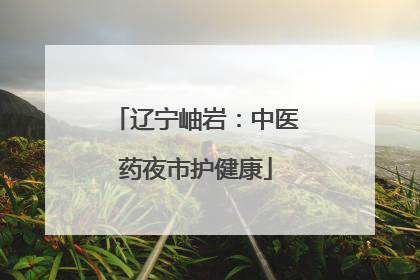 辽宁岫岩：中医药夜市护健康