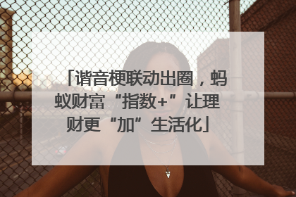 谐音梗联动出圈，蚂蚁财富“指数+”让理财更“加”生活化