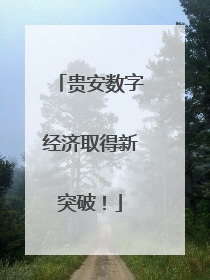 贵安数字经济取得新突破！