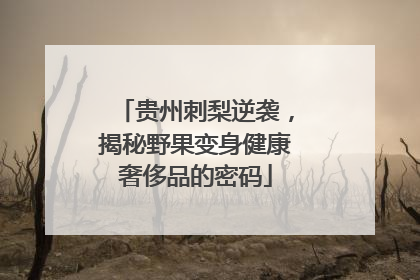 贵州刺梨逆袭，揭秘野果变身健康奢侈品的密码