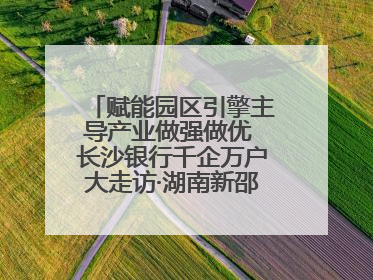 赋能园区引擎主导产业做强做优 长沙银行千企万户大走访·湖南新邵经济开发区专场活动举行