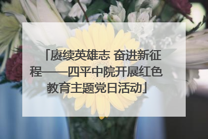 赓续英雄志 奋进新征程——四平中院开展红色教育主题党日活动