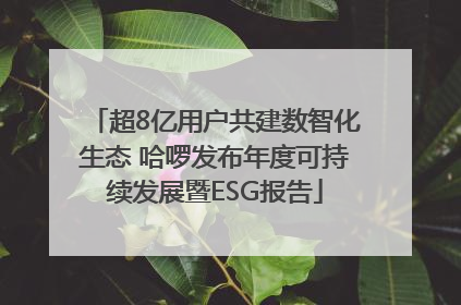 超8亿用户共建数智化生态 哈啰发布年度可持续发展暨ESG报告