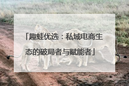 趣蛙优选：私域电商生态的破局者与赋能者
