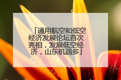 通用航空和低空经济发展论坛首次亮相，发展低空经济，山东机遇多