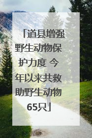 道县增强野生动物保护力度 今年以来共救助野生动物65只