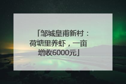 邹城皇甫新村：荷塘里养虾，一亩增收6000元