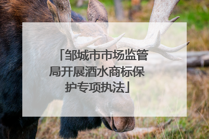 邹城市市场监管局开展酒水商标保护专项执法