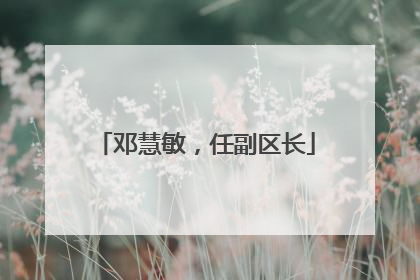 邓慧敏，任副区长