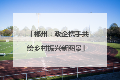 郴州：政企携手共绘乡村振兴新图景