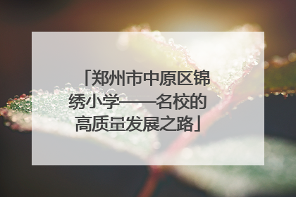 郑州市中原区锦绣小学——名校的高质量发展之路