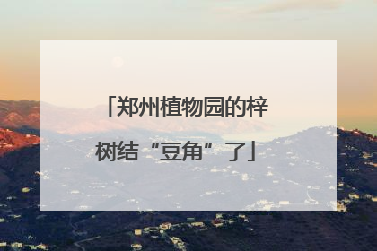 郑州植物园的梓树结“豆角”了