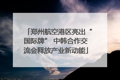 郑州航空港区亮出“国际牌” 中韩合作交流会释放产业新动能