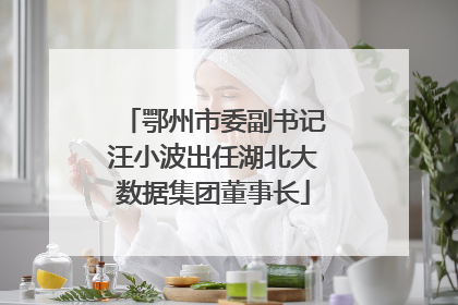 鄂州市委副书记汪小波出任湖北大数据集团董事长